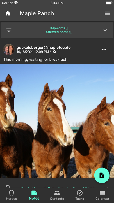 Horse Diary Screenshot