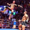 Wrestle Brawl icon