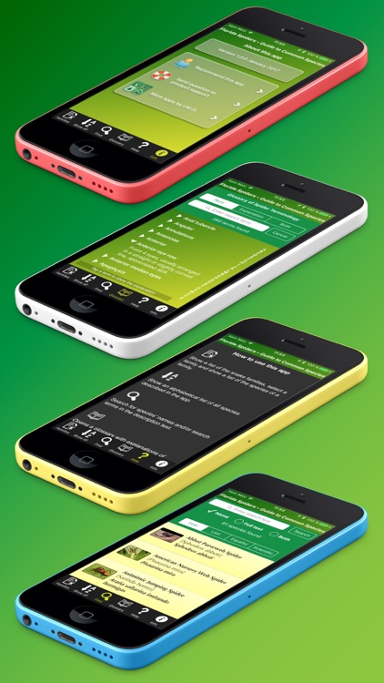 Florida Spiders screenshot-4