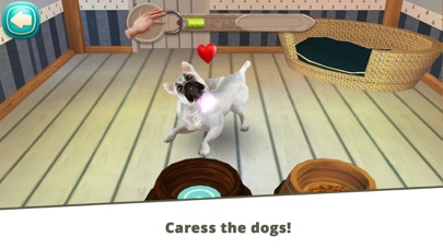 Dog Hotel Premium Screenshot