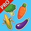 野菜学習カード PRO （英語学習）