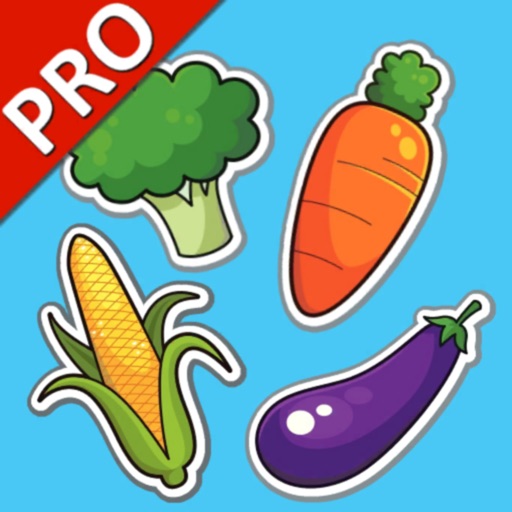 Vegetables Cards PRO icon