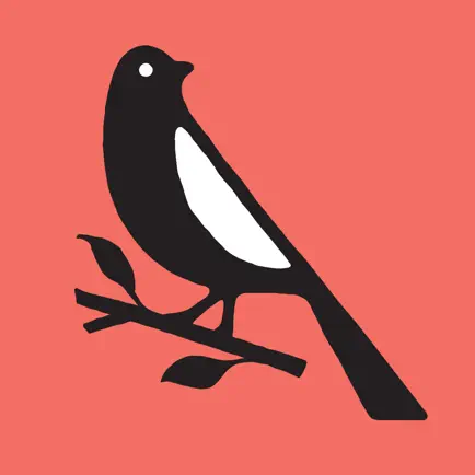 The Mockingapp Cheats
