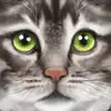 Ultimate Cat Simulator App Positive Reviews