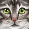 Ultimate Cat Simulator App Support