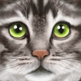 螢幕擷取畫面 (5) Ultimate Cat Simulator