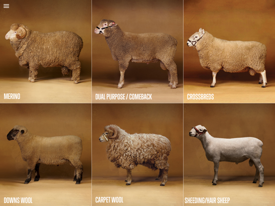 Screenshot #4 pour Sheep Breed Compendium