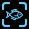 Simply upload or take a photo, and let Fishdex identify the fish you encounter