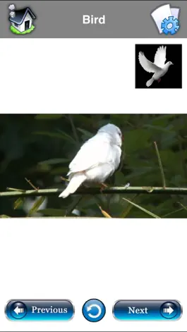 Game screenshot Baby Flash Cards: 500+ toddler hack