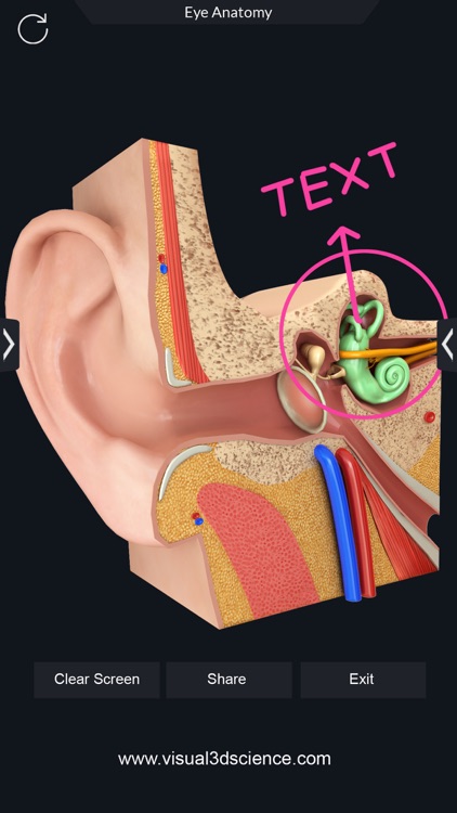 Organs Anatomy screenshot-6