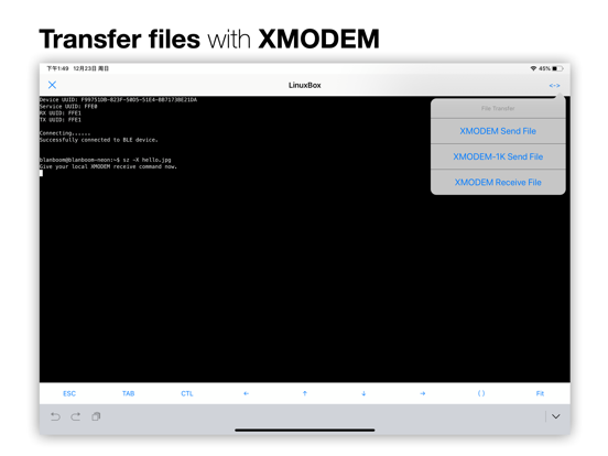 Screenshot #5 pour AirTerminal - BLE Terminal