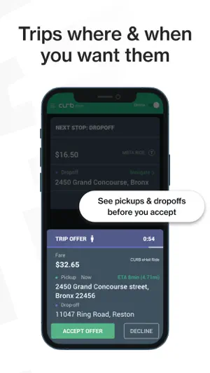 Curb Driver screenshot 3