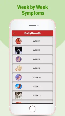 Game screenshot Pregnancy Care Tips apk