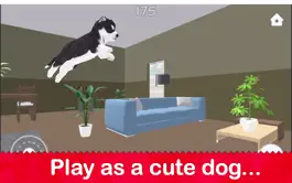 Game screenshot Dog Simulator 2022 mod apk
