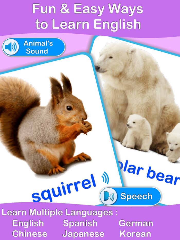 Animals Cards  Learn English