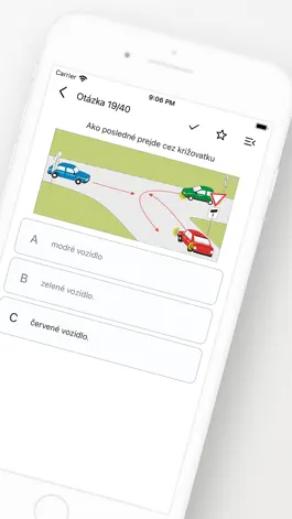 Game screenshot Driving Licence Theory apk