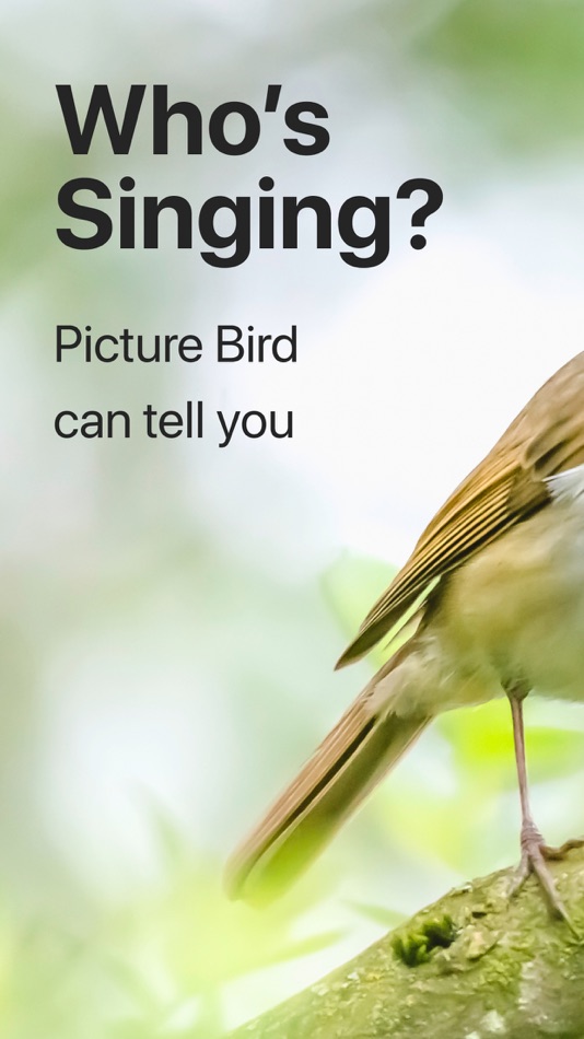 Picture Bird: Birds Identifier - 2.12.21 - (iOS)