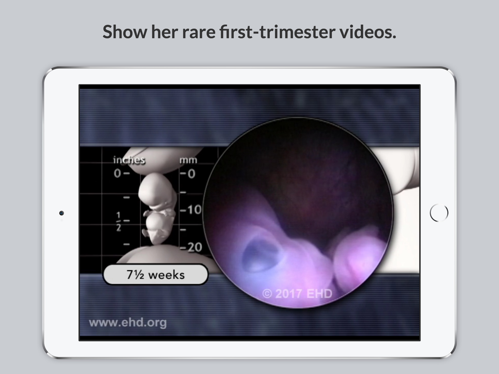 Baby's Story Pregnancy Guide screenshot 2