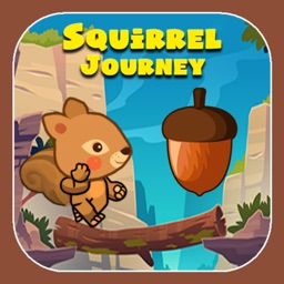 The Jungle Squirrel On Journey