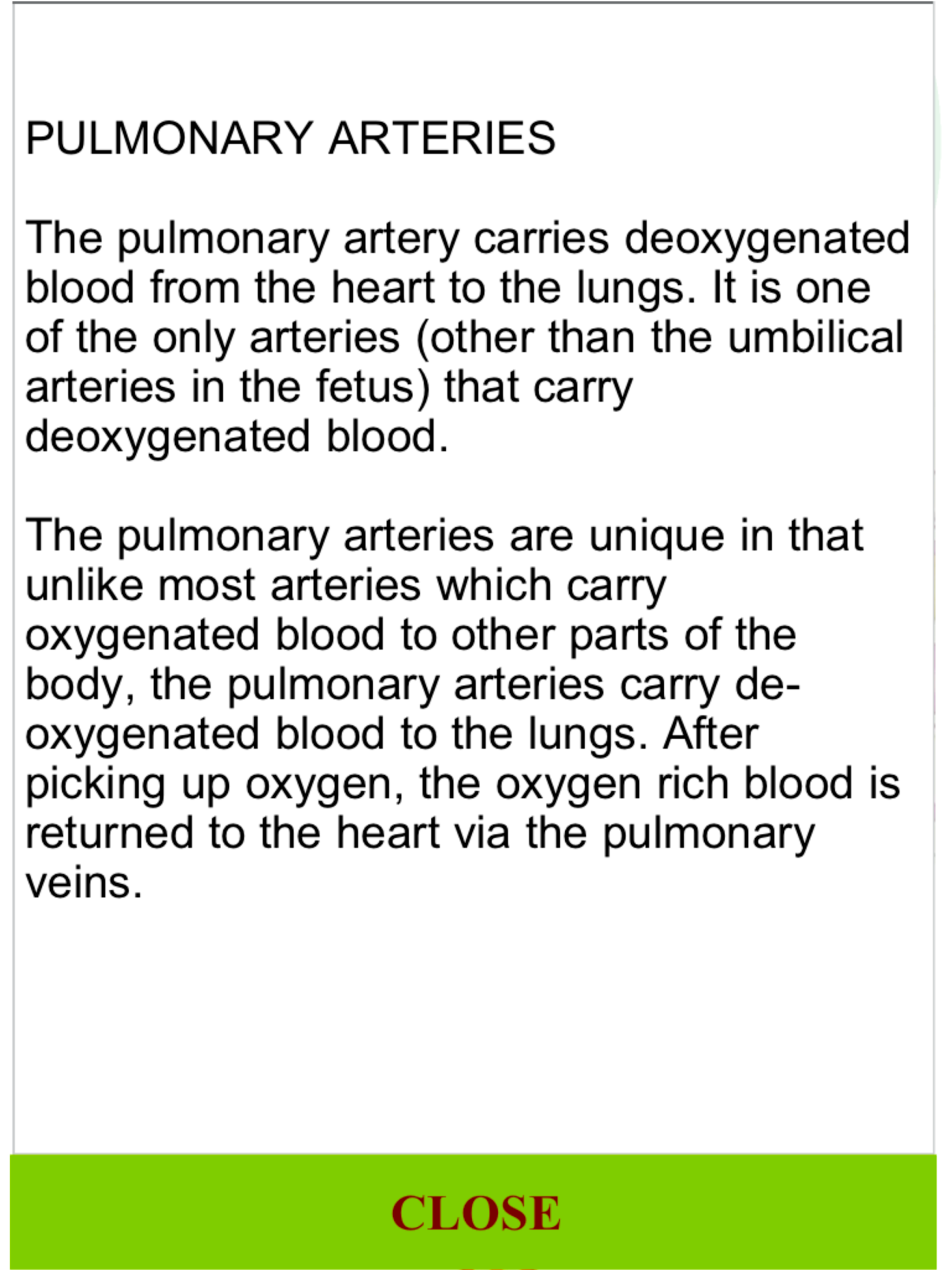 ANATOMY 3D Pro screenshot 12