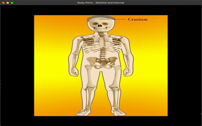 ‎Body Parts Skeletal & Internal Screenshot