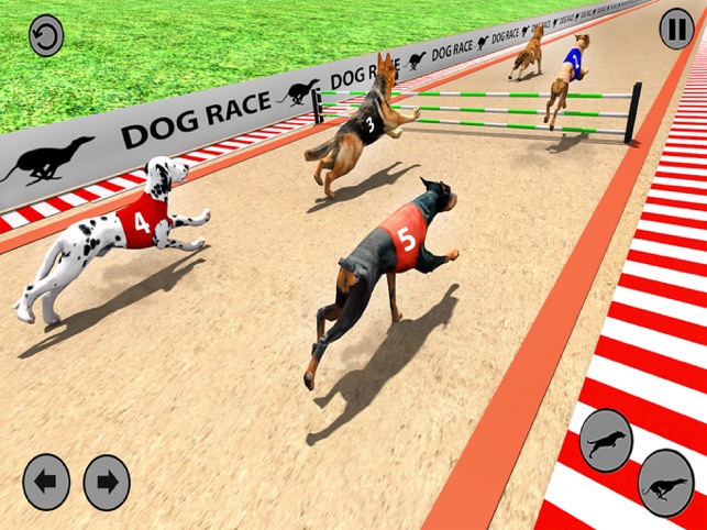 Racing Dog Simulator: Crazy Dog Racing Games APK for Android - Download