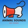 Animal Sounds - Cats Meowing icon