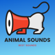 Animal Sounds - Cats Meowing