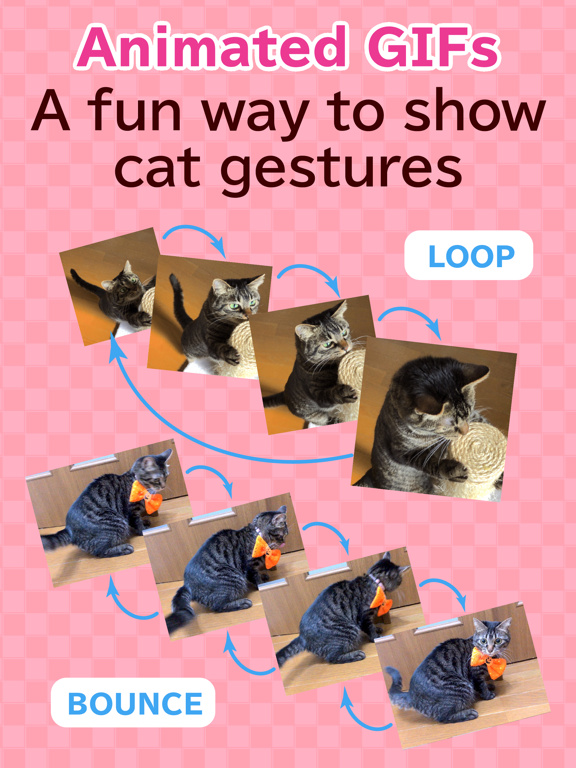 toruneko (KittyCam) iPad screenshot 9 - Photo & Video app