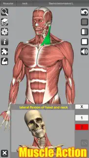 3d anatomy iphone screenshot 1