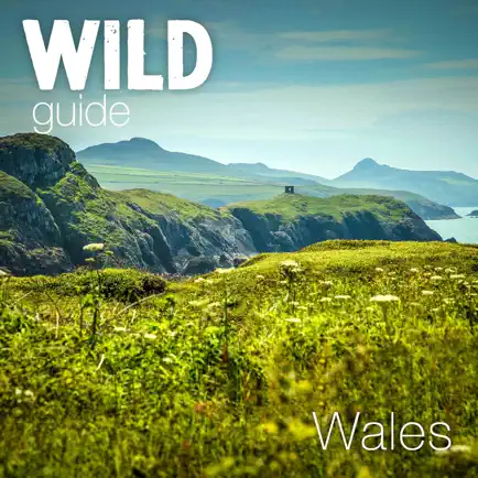 Wild Guide Wales Cheats