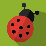 The Ladybug Smasher