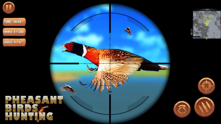 Pheasant Bird Hunting Game 3D