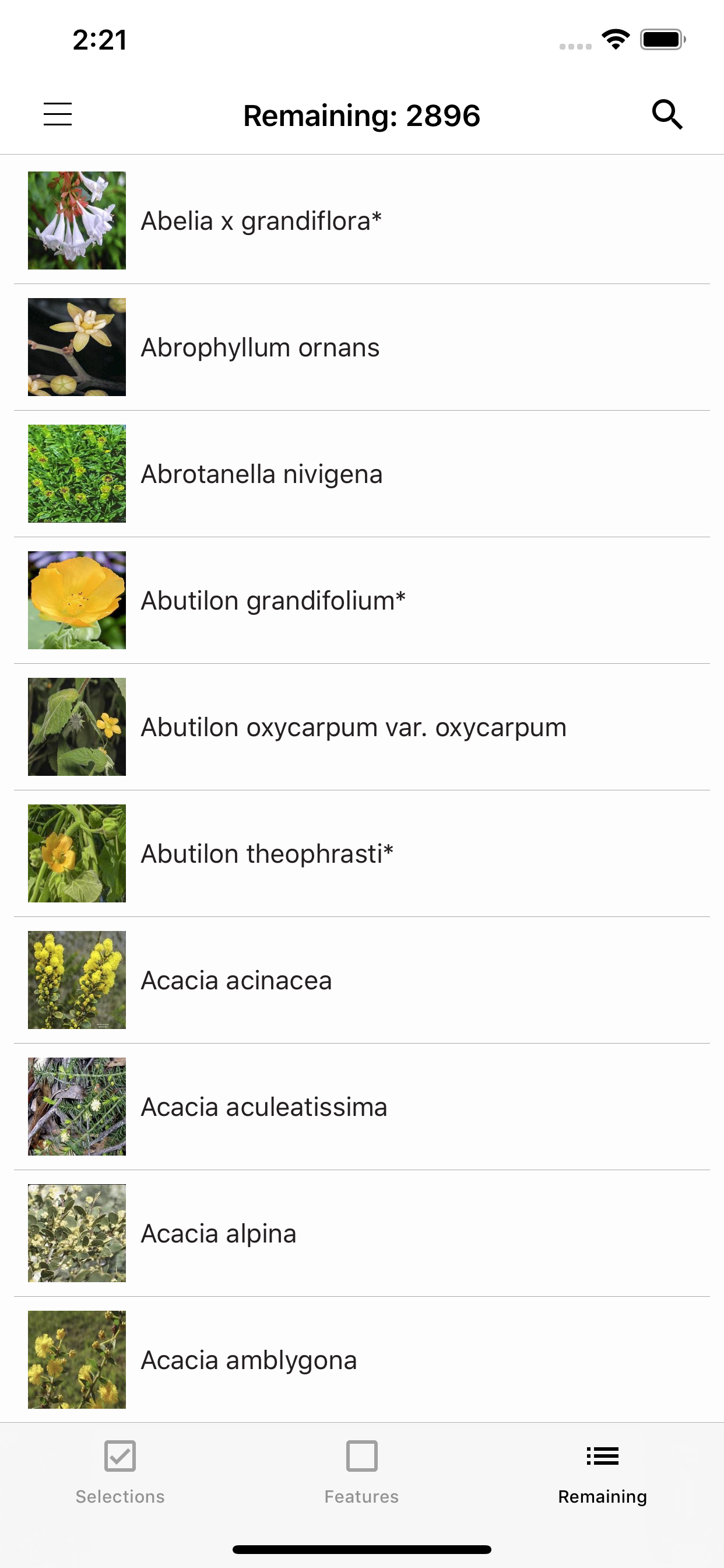 Plants of South Eastern NSW