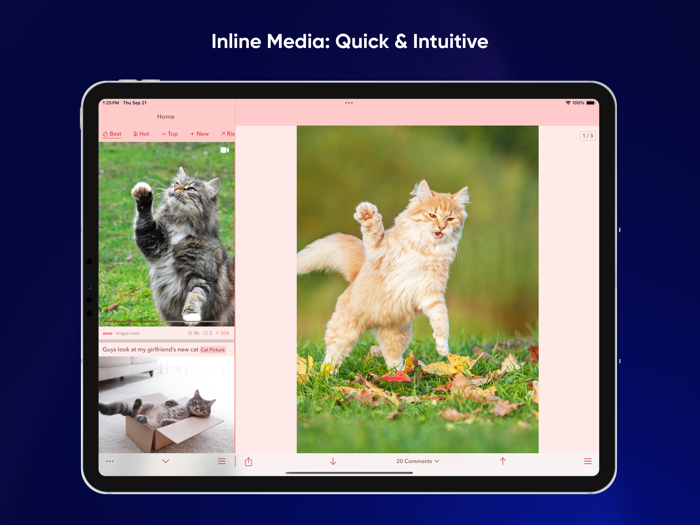 Narwhal 2 for Reddit