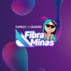 Fibra Minas
