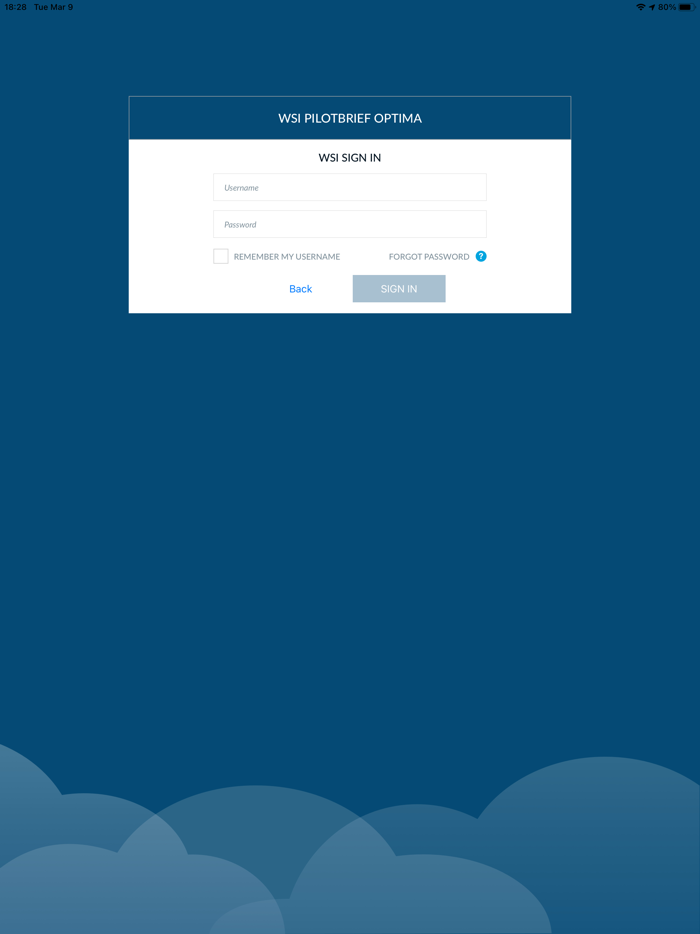 WSI Pilotbrief Optima
