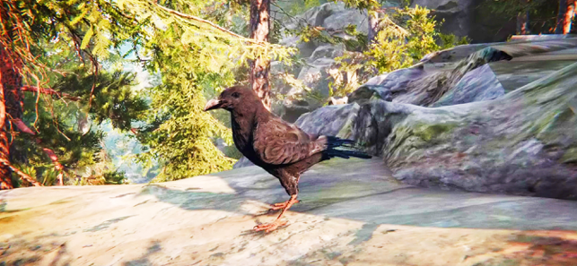 ‎Raven Crow Flight Simulator 3d Screenshot