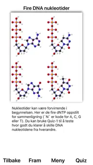 Kjernesyrer iphone bilder 1