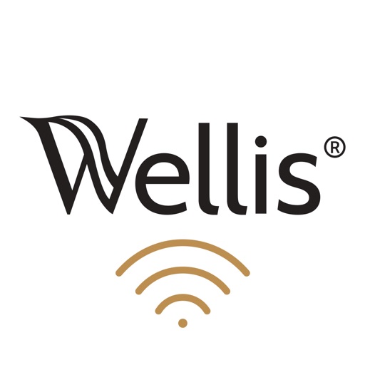 Wellis Spa Control