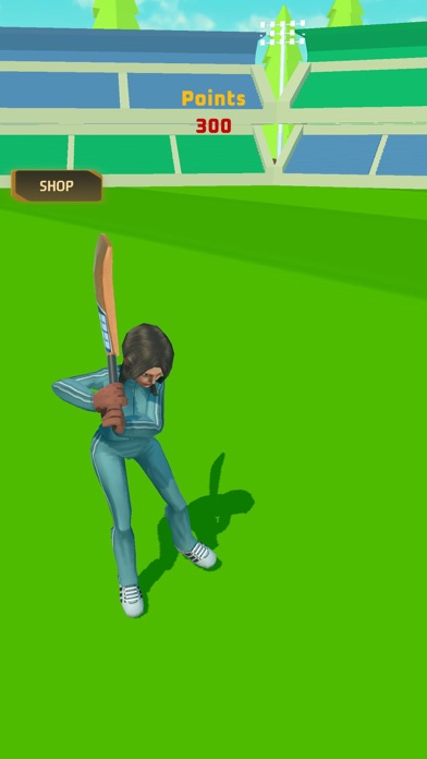 PM Cricket Sports Screenshot