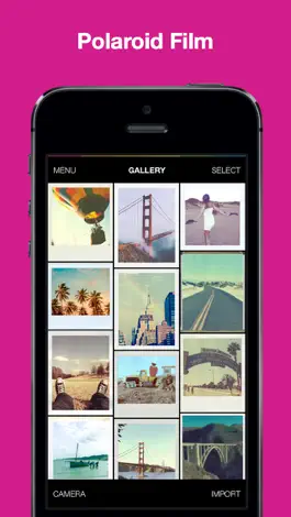 Game screenshot Polamatic mod apk