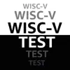 WISC-V Test Practice and Prep problems & troubleshooting and solutions
