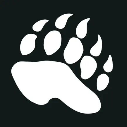 Bjorn Fitness Читы