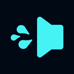 屏幕截图 (3) Sonic Wave: Speaker Test