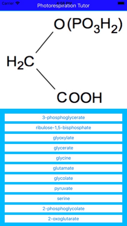 Photorespiration Tutor