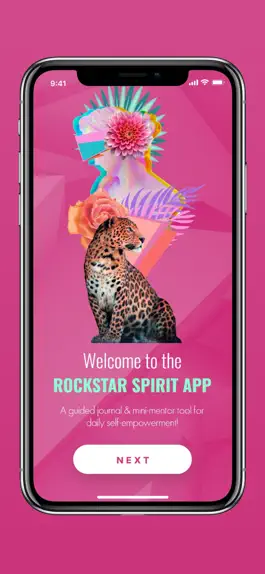 Game screenshot Rockstar Spirit hack