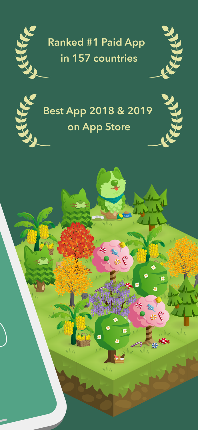 Forest Focus for Productivity