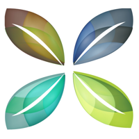 Detox n Heal Yourself