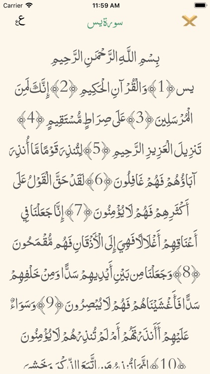 Quran | القرآن الكريم